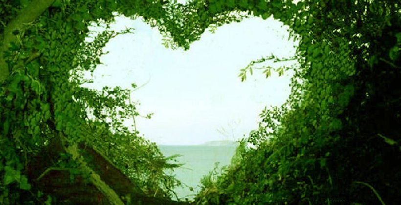 Heart of greenery